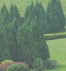 ddos压力在线测试平台