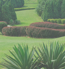 激活门户可靠的网页攻击软件