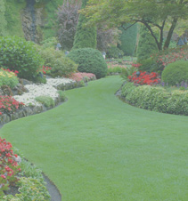 功能一应俱全的网页攻击器